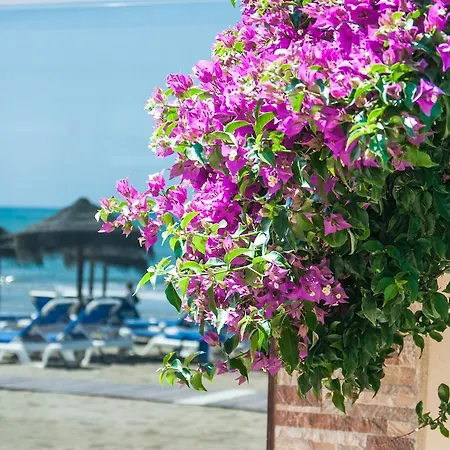 Bed & Breakfast Sunny Dom Boutique Marbella