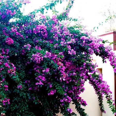 Bed & Breakfast Sunny Dom Boutique *