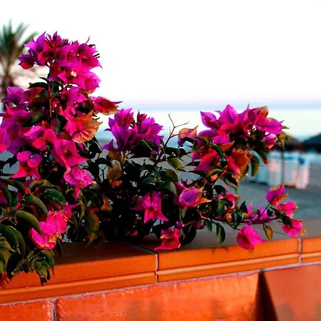Bed & Breakfast Sunny Dom Boutique Marbella